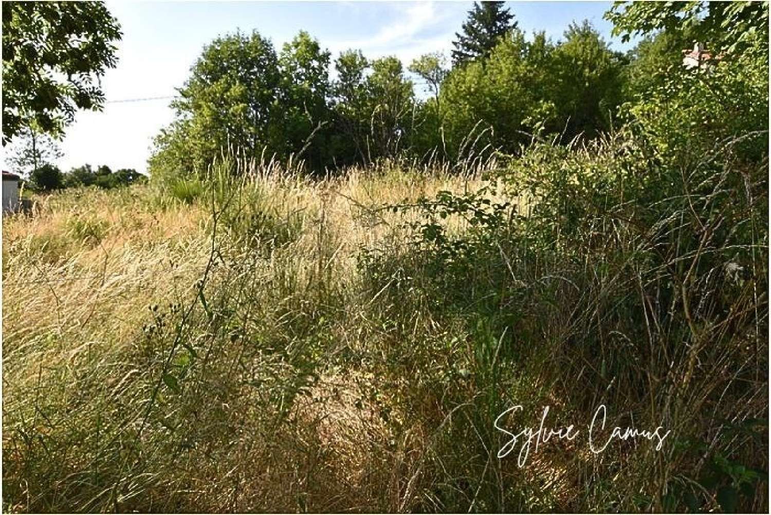  te koop terrein Saint-Pal-de-Mons Haute-Loire 2