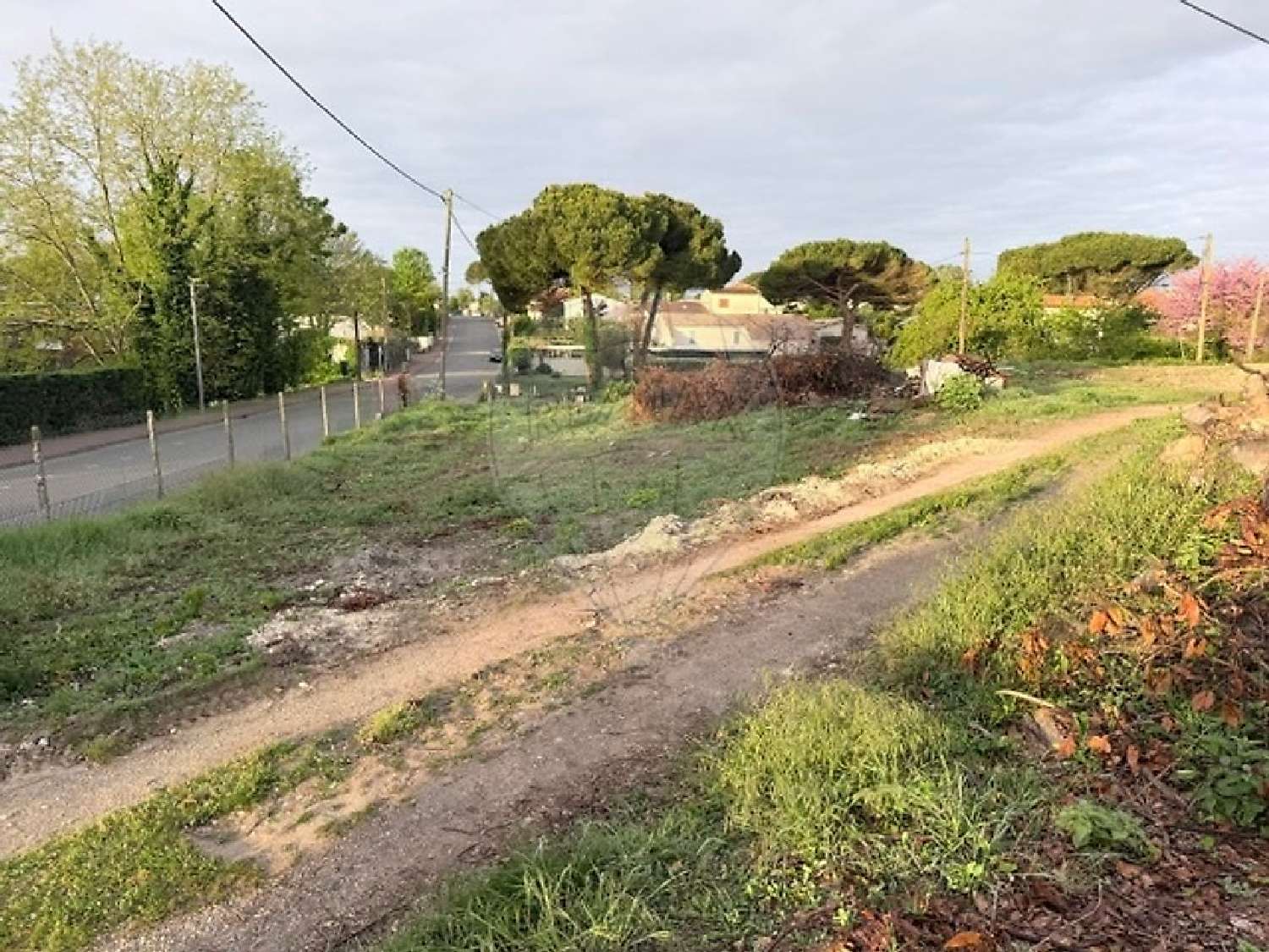  à vendre terrain Saint-Palais-sur-Mer Charente-Maritime 3