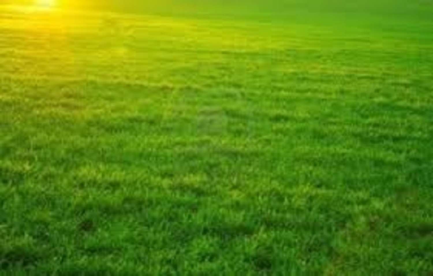  à vendre terrain Saint-Pierre-d'Irube Pyrénées-Atlantiques 1