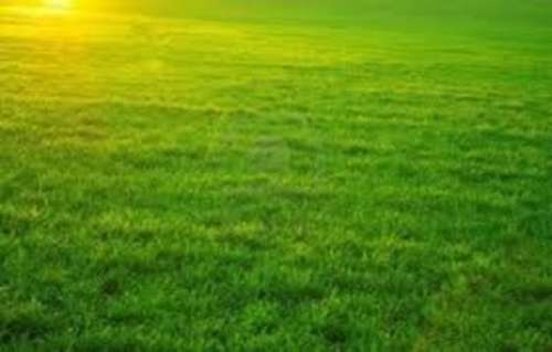 Saint-Pierre-d'Irube Pyrénées-Atlantiques terrain foto 7311560