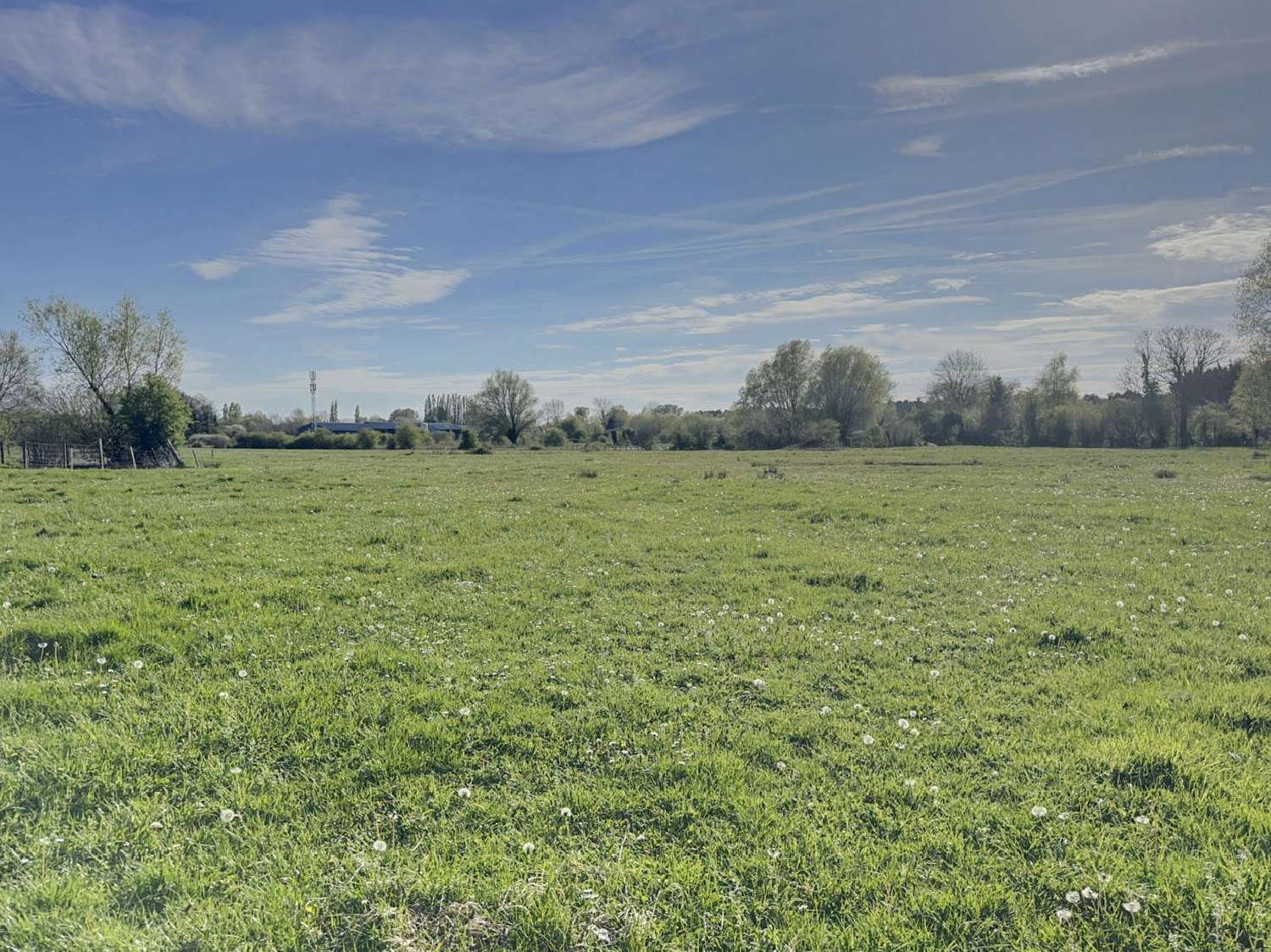  for sale terrain Saint-Quentin-en-Tourmont Somme 8