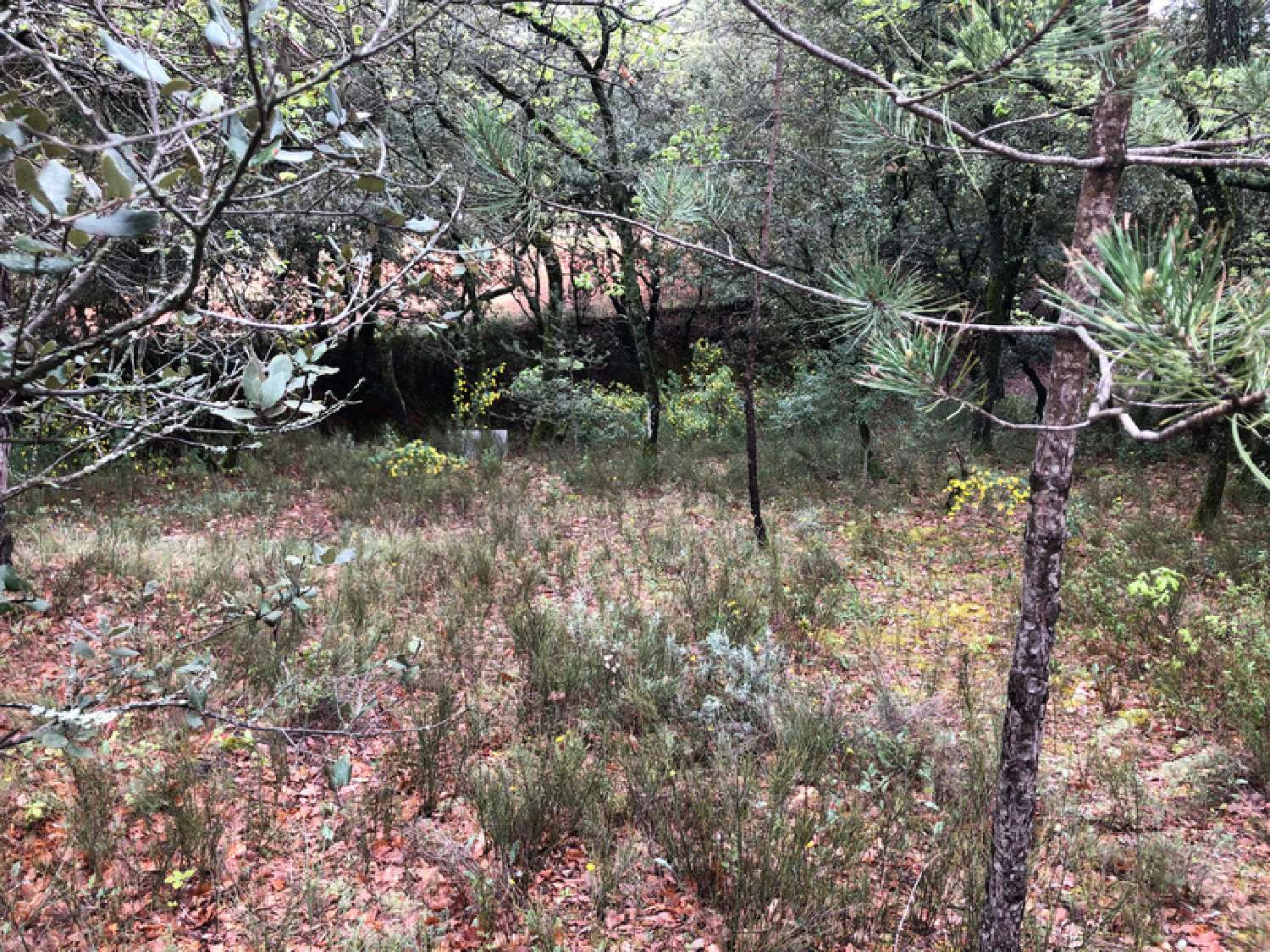 kaufen Grundstück Saint-Saturnin-lès-Apt Vaucluse 3