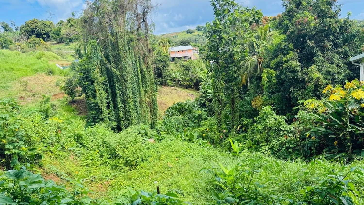  en venta terreno Sainte-Marie Martinique 1