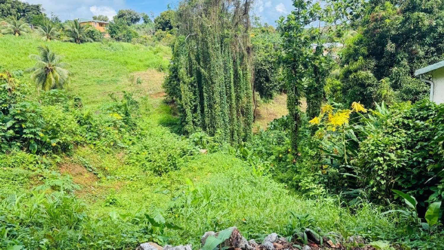  en venta terreno Sainte-Marie Martinique 2
