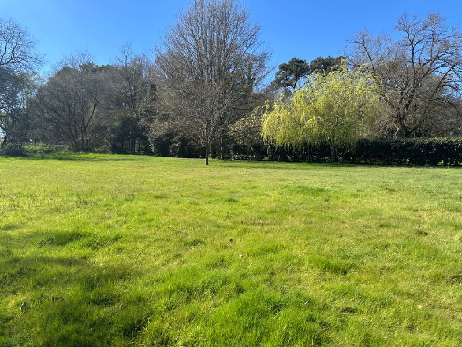  for sale terrain Sainte-Reine-de-Bretagne Loire-Atlantique 2