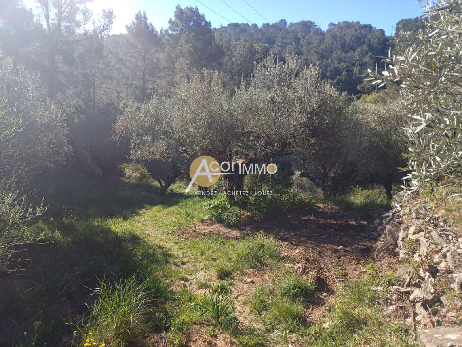  te koop terrein Solliès-Ville Var 2