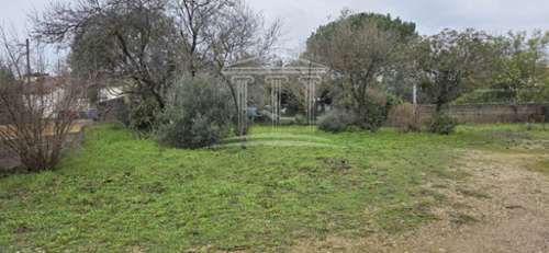 Sorgues Vaucluse terrain foto 7311024