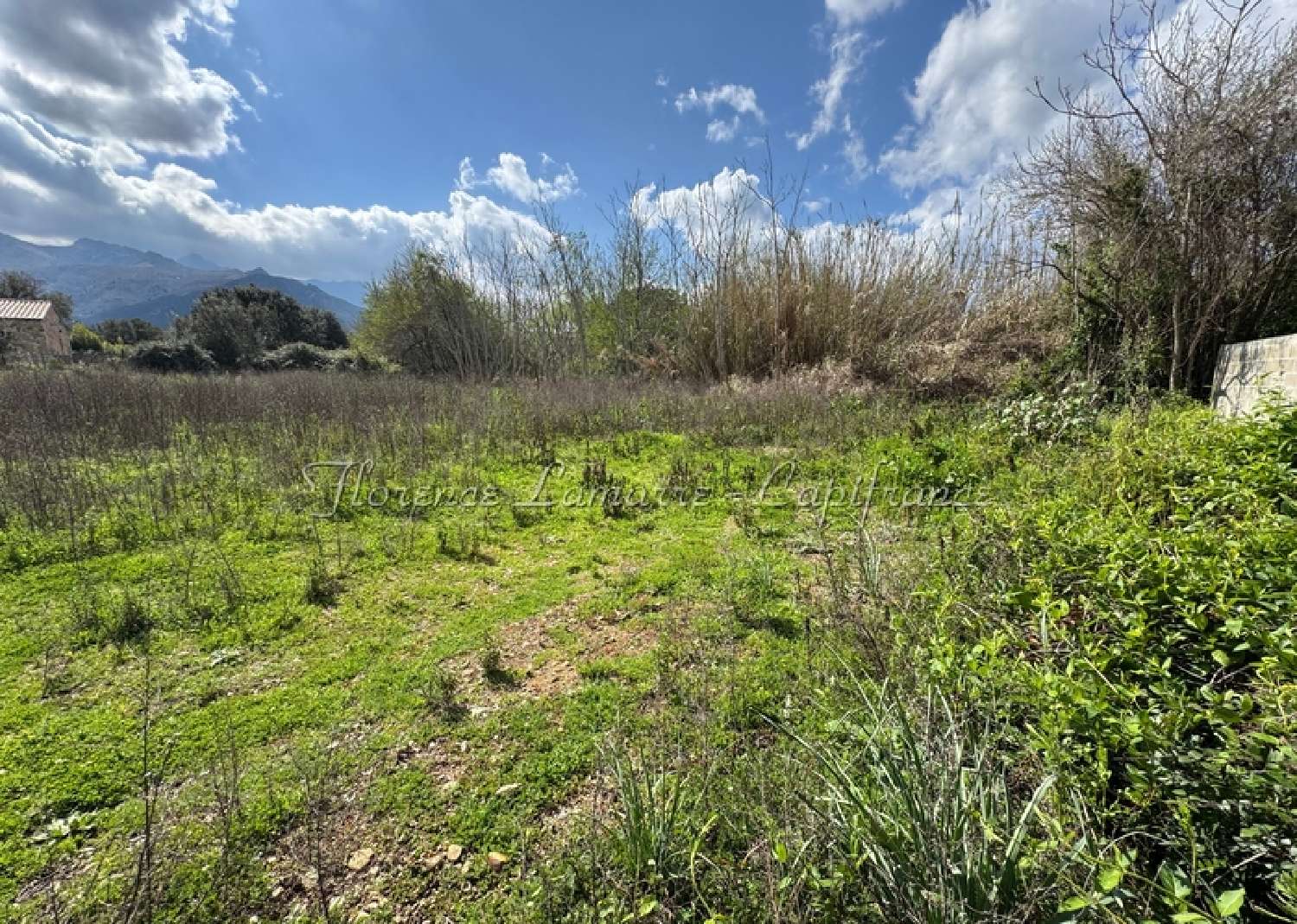  kaufen Grundstück Speloncato Haute-Corse 1