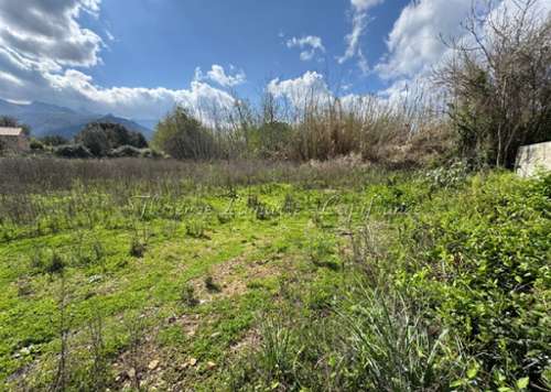 Speloncato Haute-Corse terrain foto 7302402