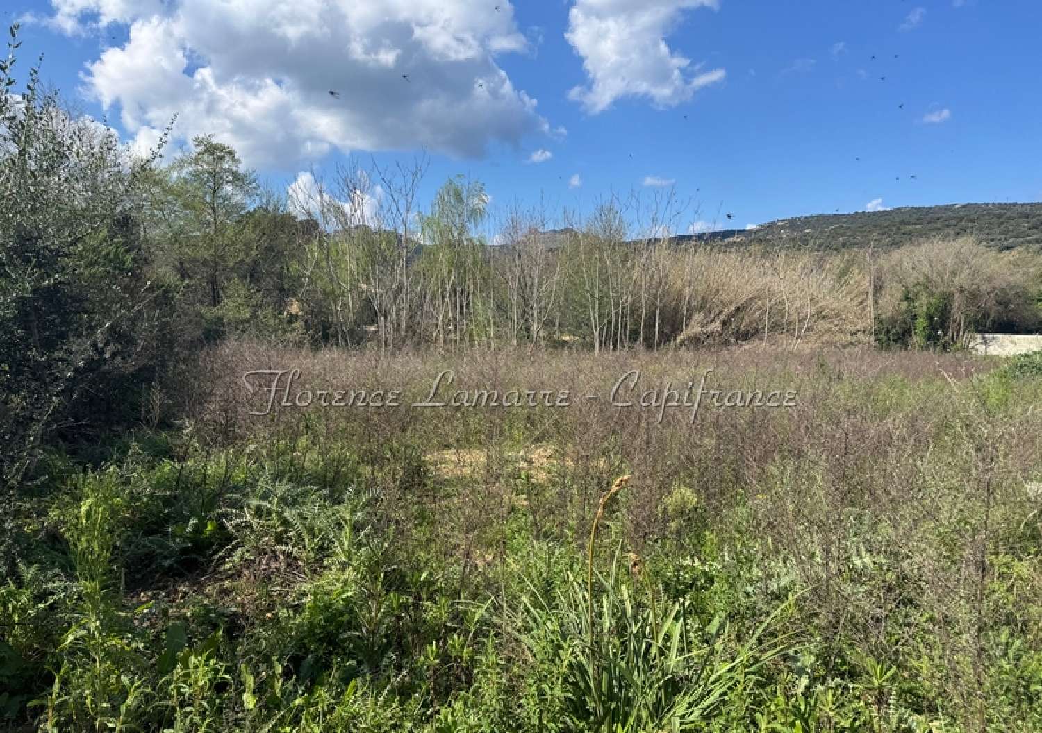  kaufen Grundstück Speloncato Haute-Corse 2