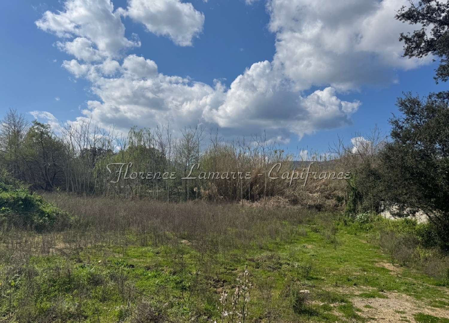  kaufen Grundstück Speloncato Haute-Corse 3