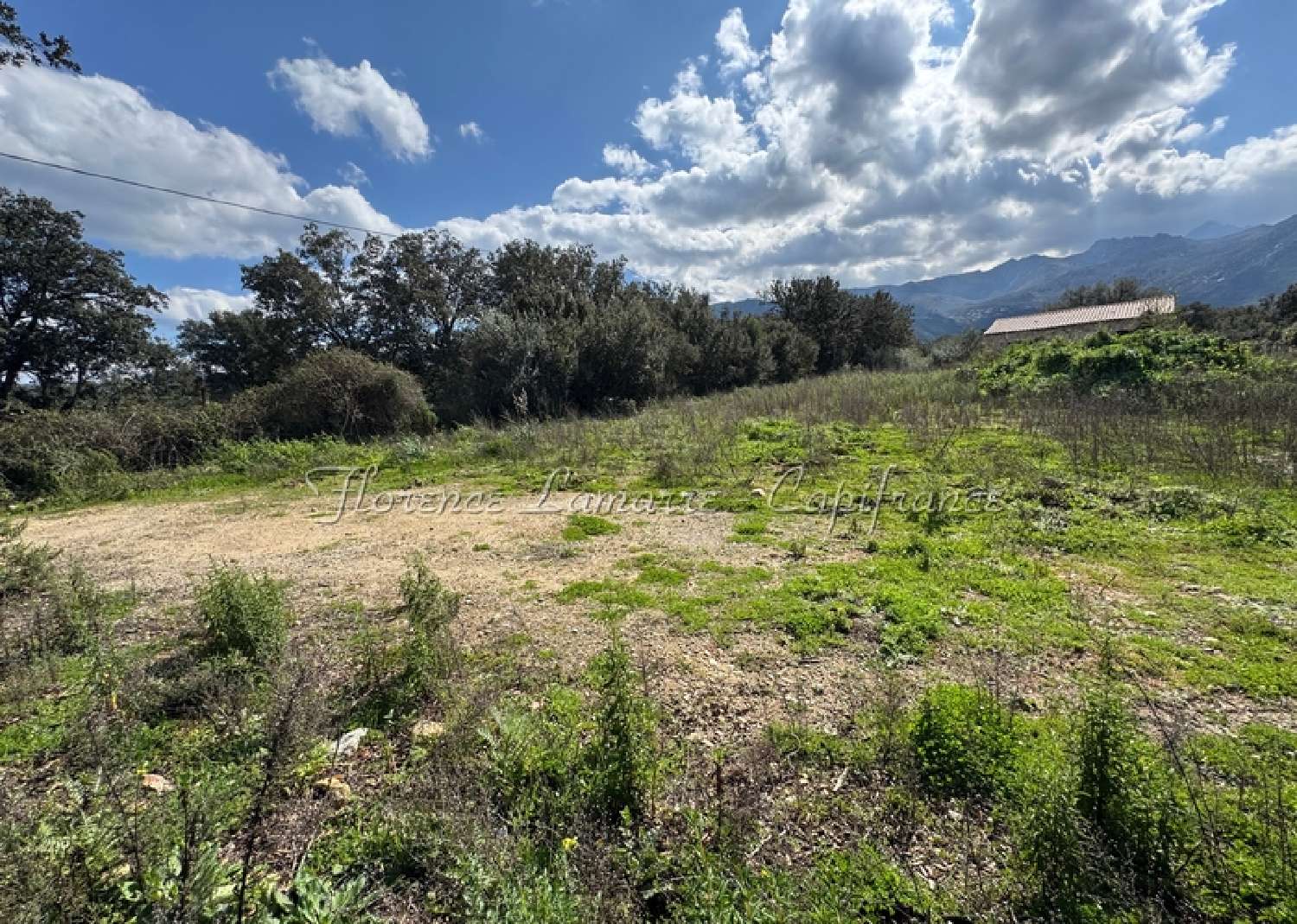  kaufen Grundstück Speloncato Haute-Corse 4