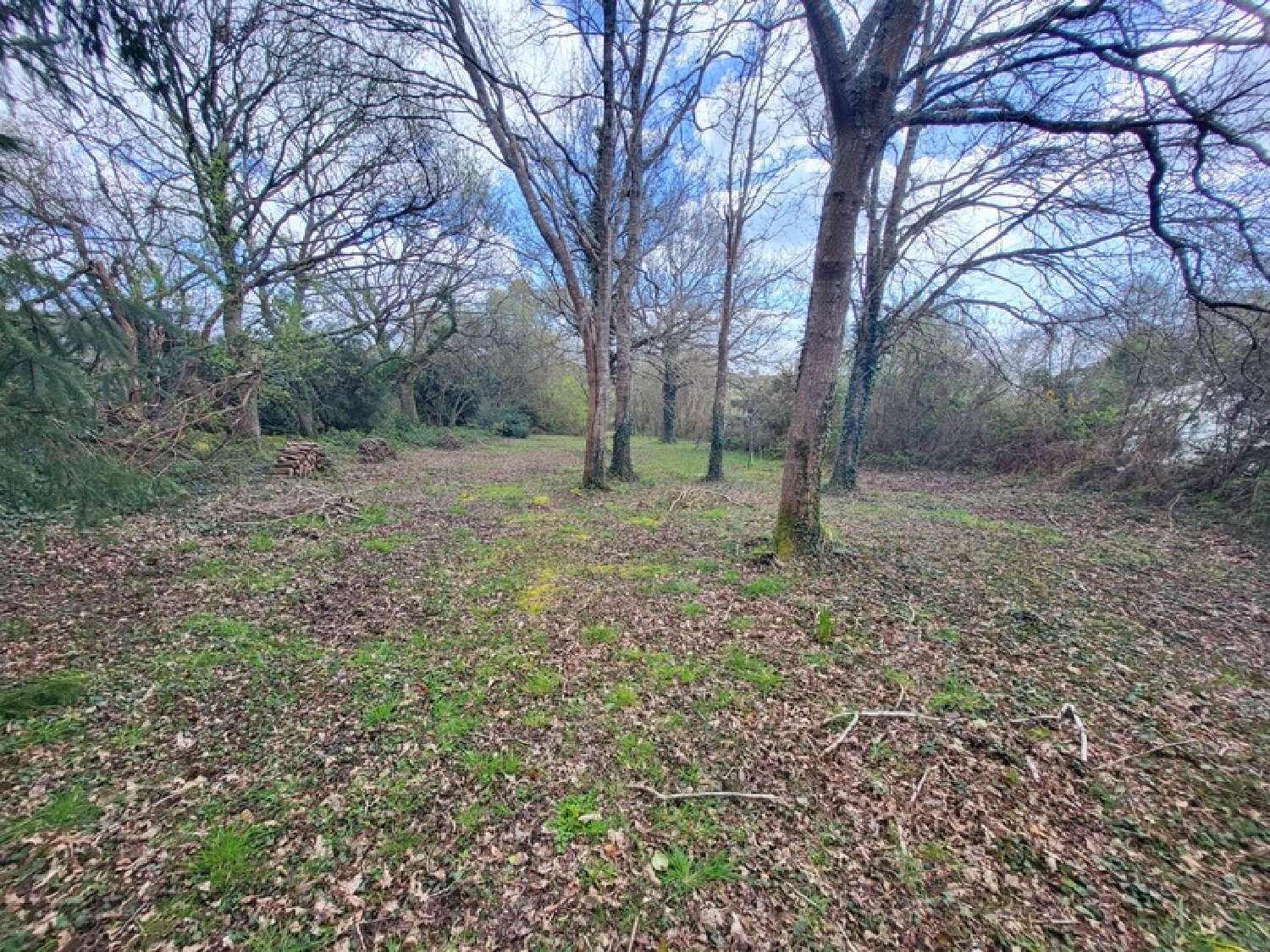  en venta terreno Telgruc-sur-Mer Finistère 5