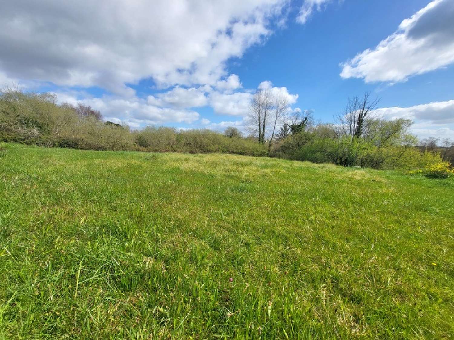  en venta terreno Telgruc-sur-Mer Finistère 6