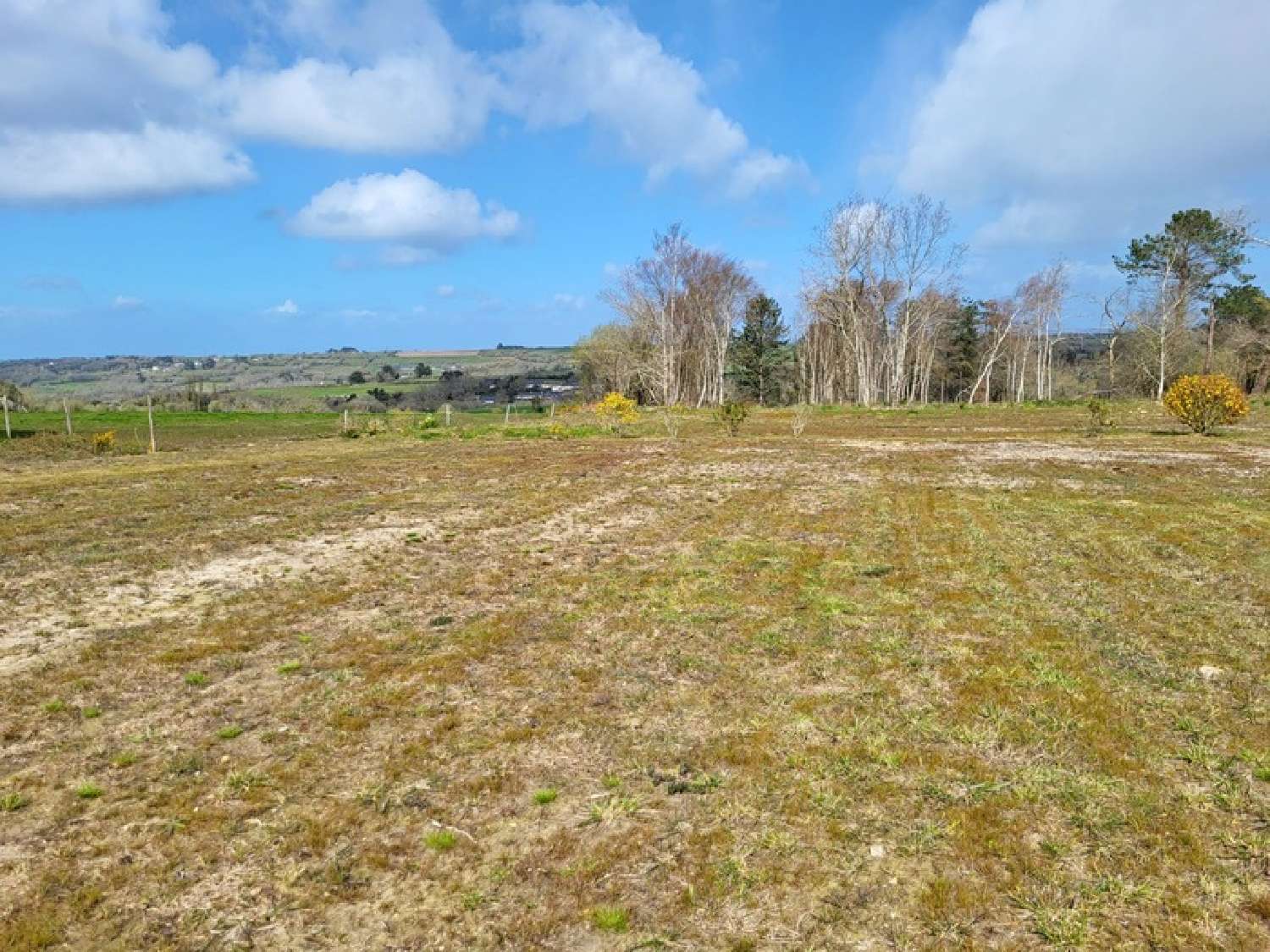  kaufen Grundstück Telgruc-sur-Mer Finistère 1