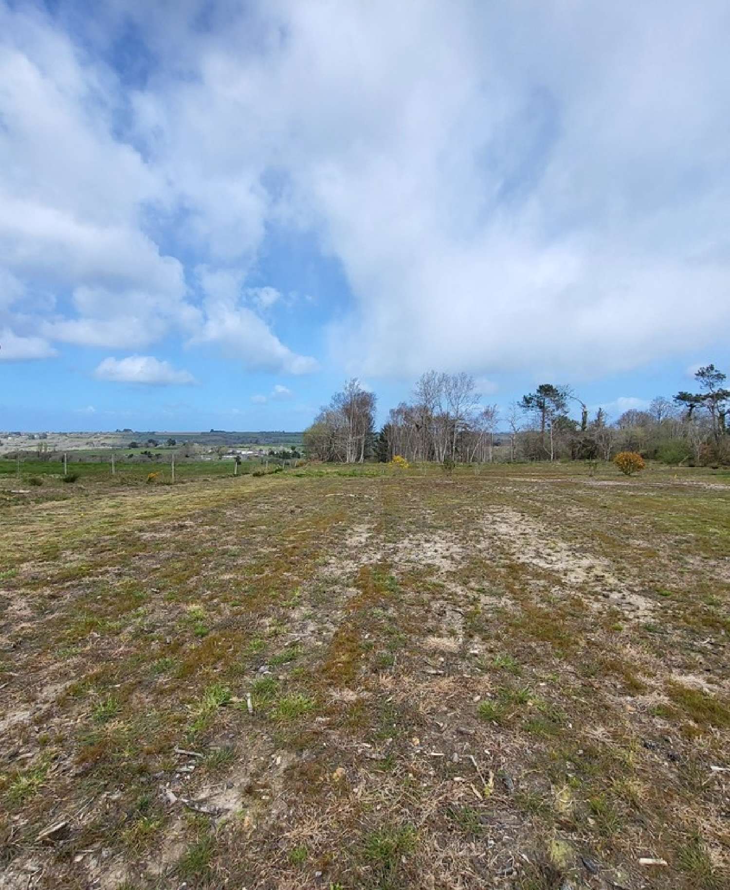  kaufen Grundstück Telgruc-sur-Mer Finistère 5