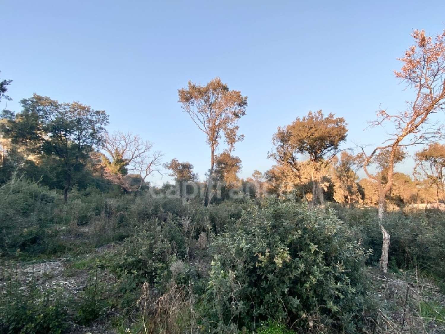  en venta terreno Uzès Gard 1