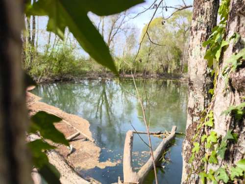 Vars Charente terrein foto 7302779