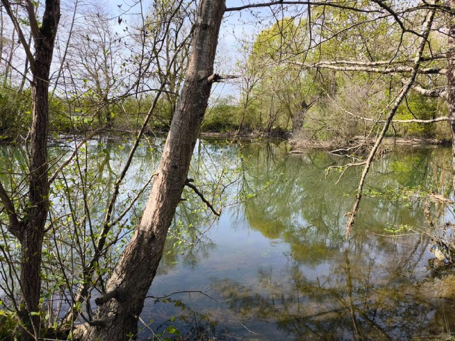 te koop terrein Vars Charente 2