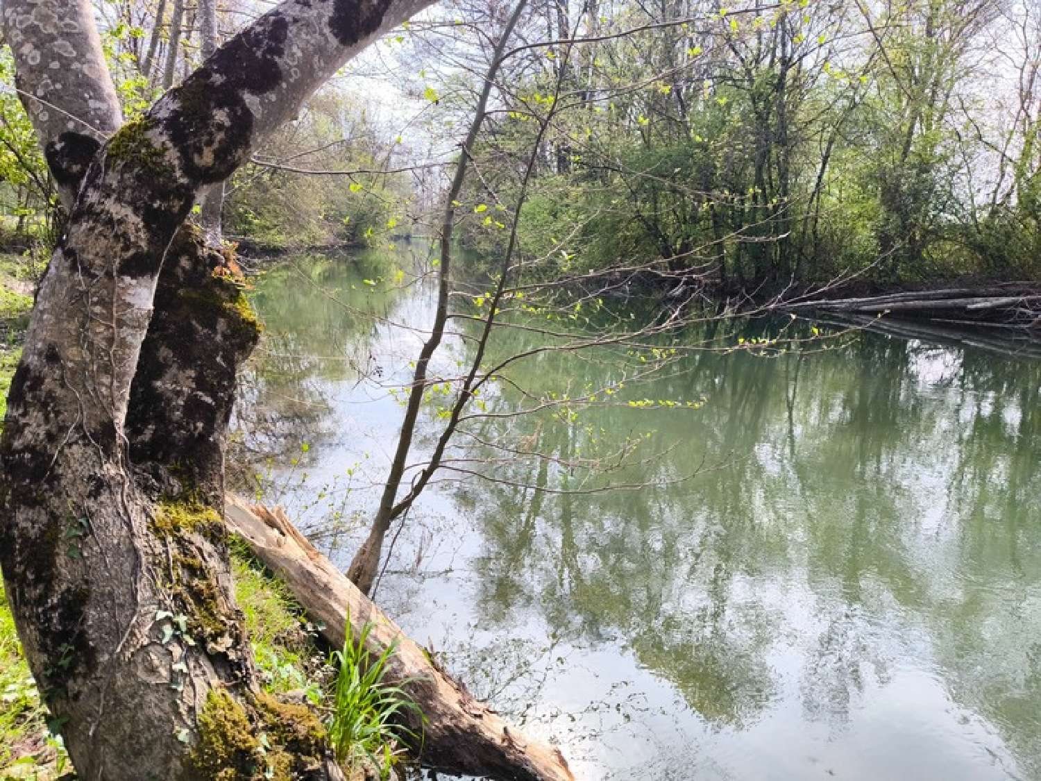 te koop terrein Vars Charente 4