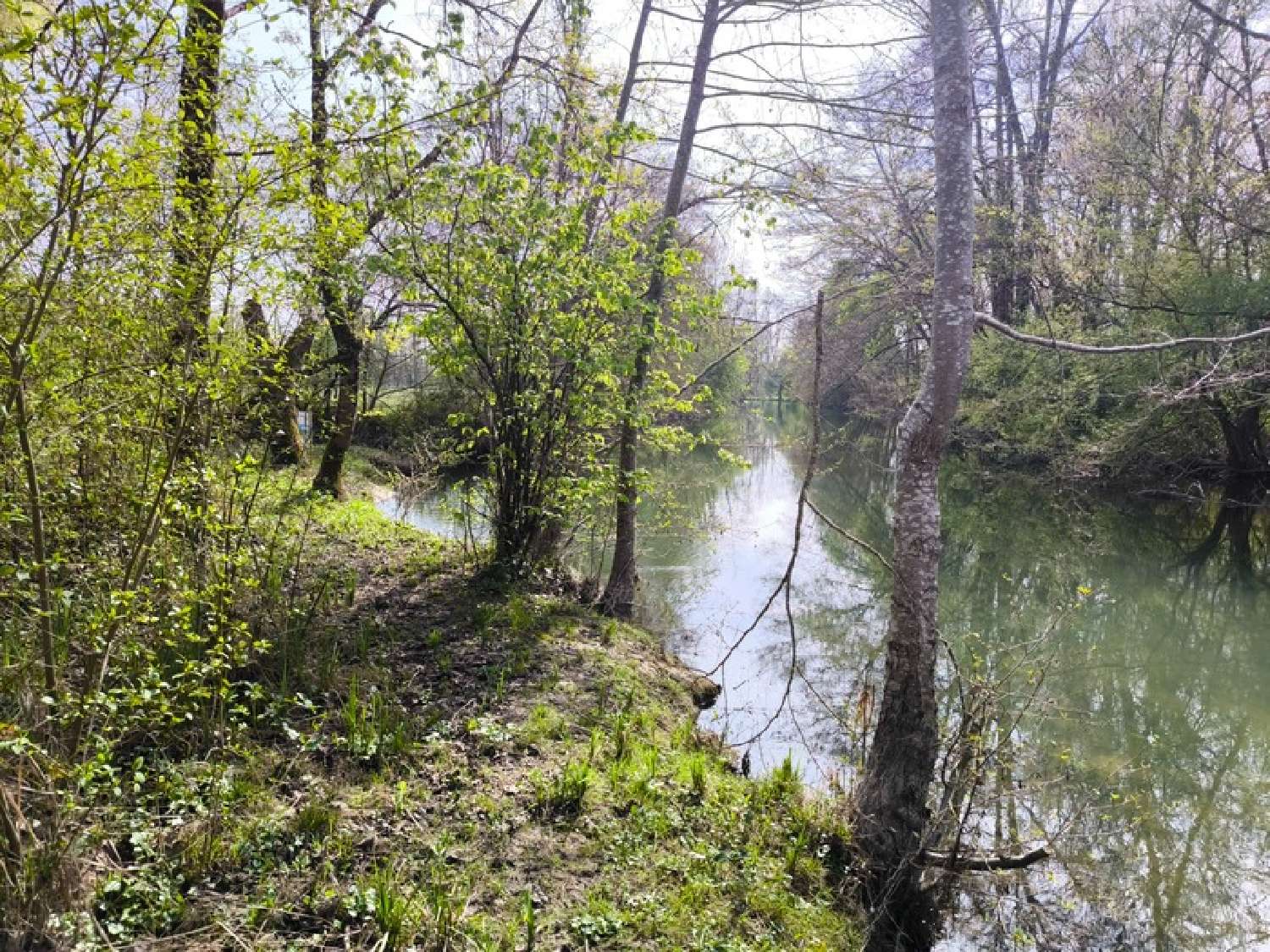 te koop terrein Vars Charente 5