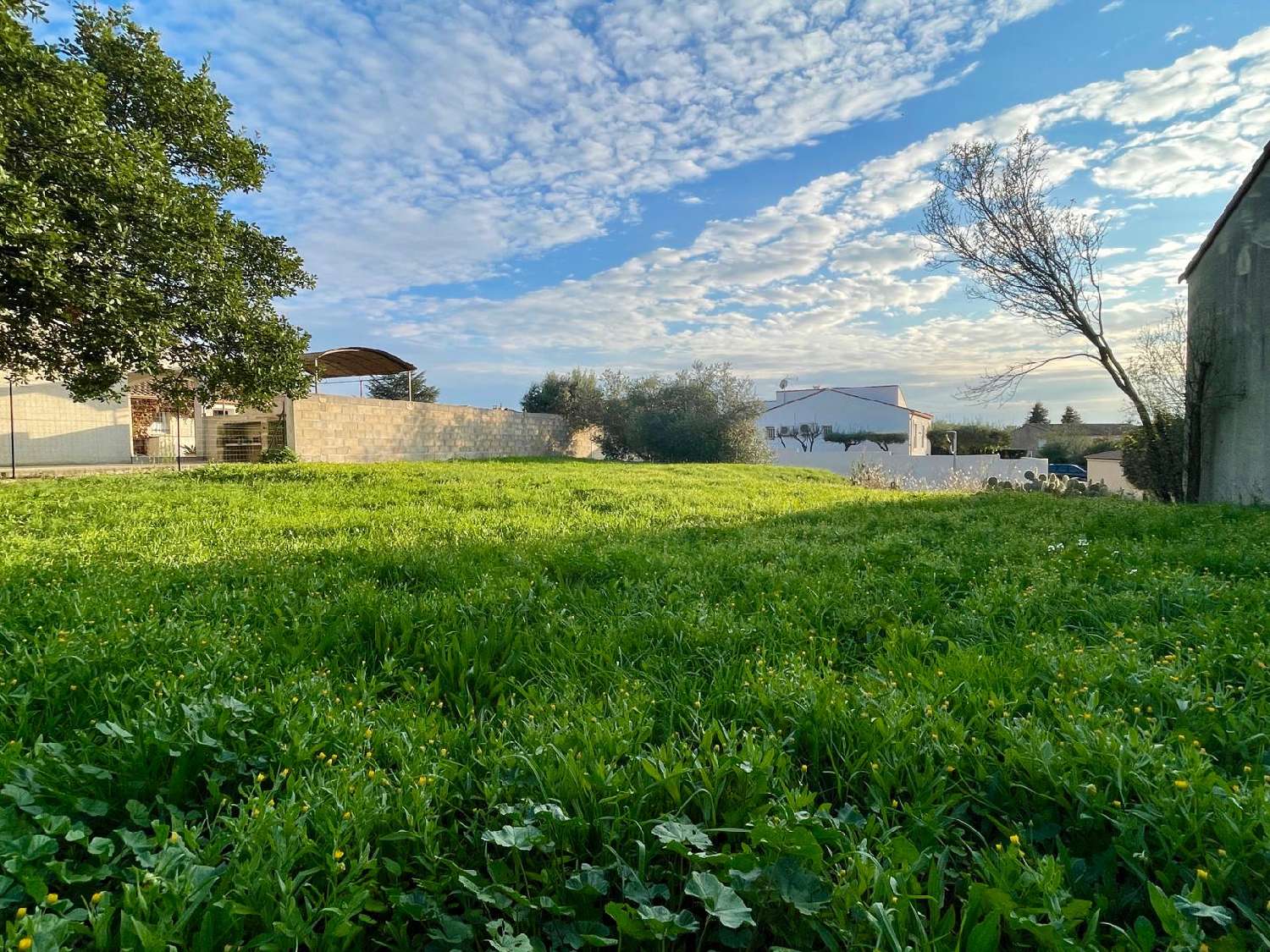  for sale terrain Vauvert Gard 1