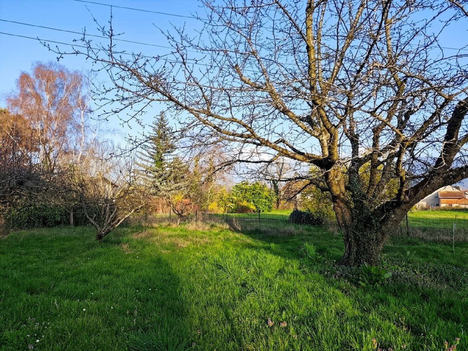  kaufen Grundstück Veigy-Foncenex Haute-Savoie 3