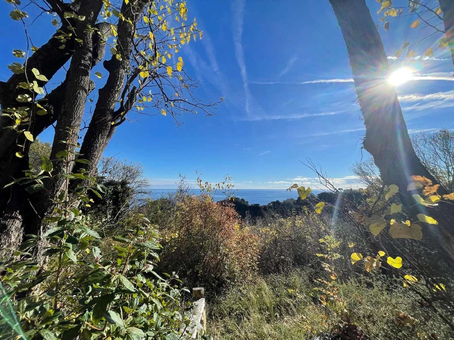 à vendre terrain Villefranche-sur-Mer Alpes-Maritimes 5