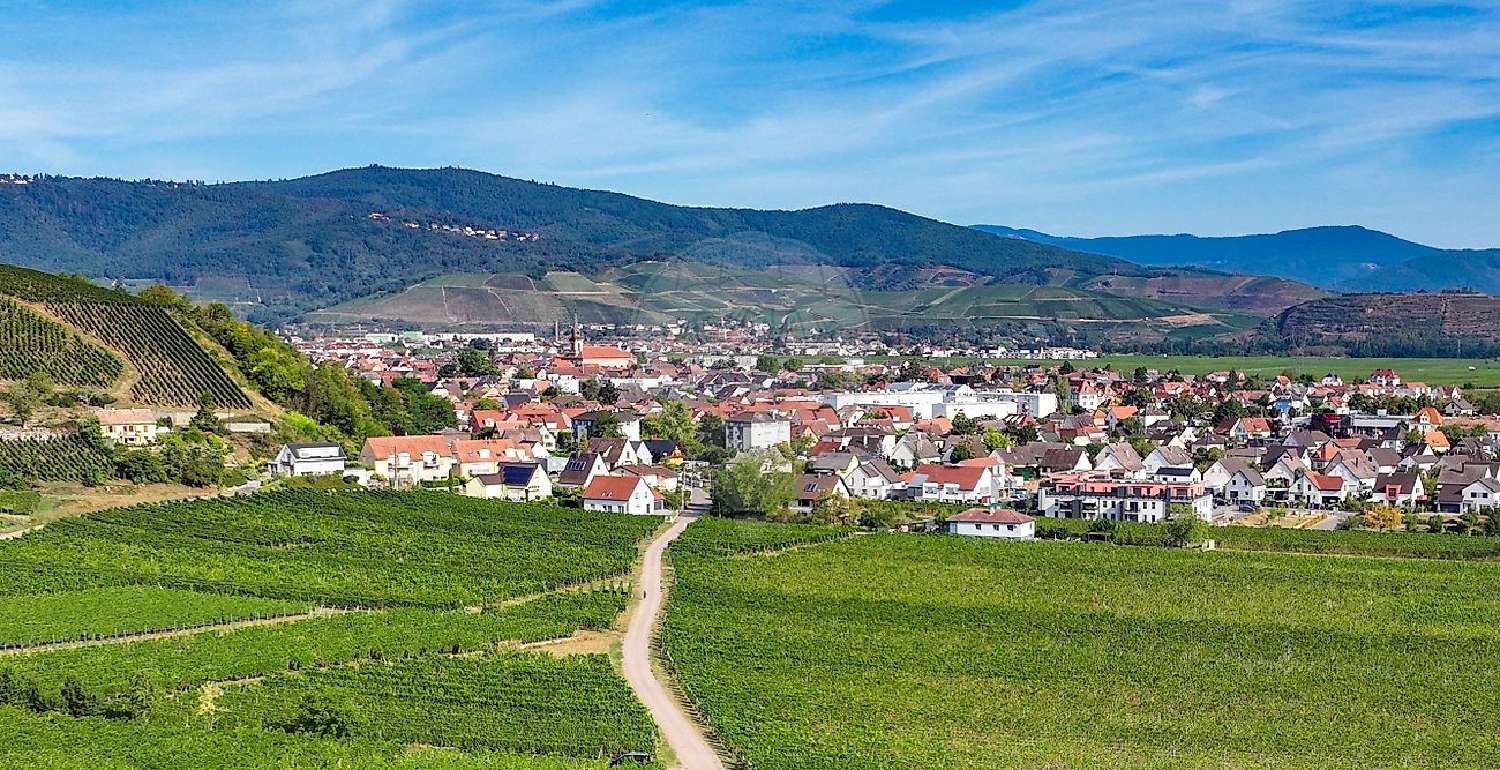  kaufen Grundstück Wintzenheim Haut-Rhin 2