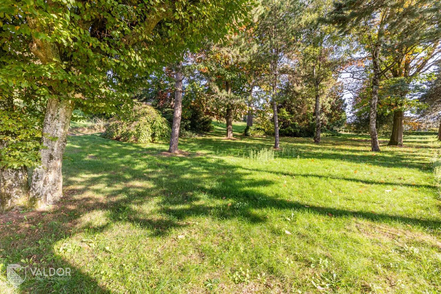 for sale villa Amplepuis Rhône 7