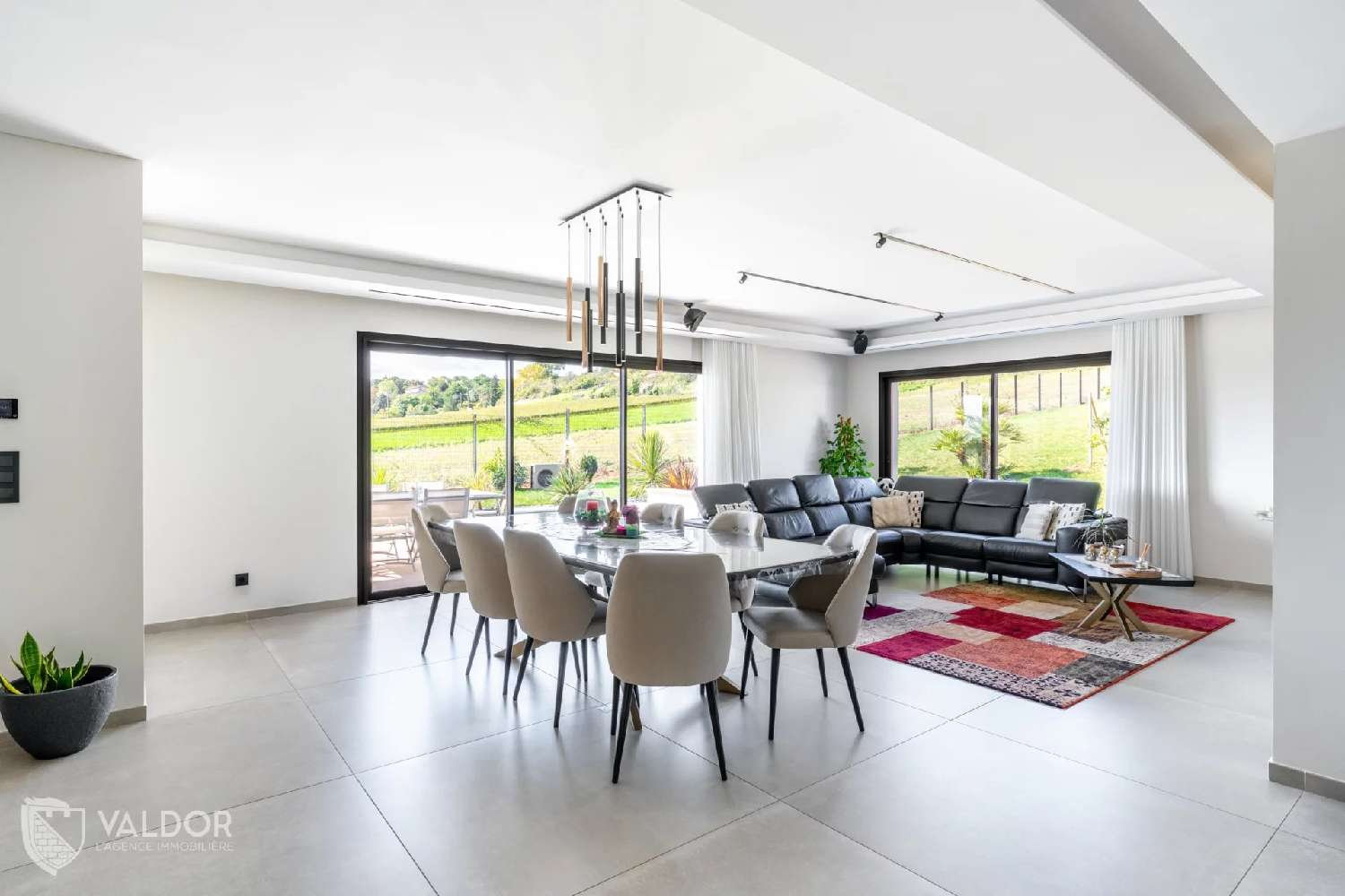  te koop villa Anse Rhône 3