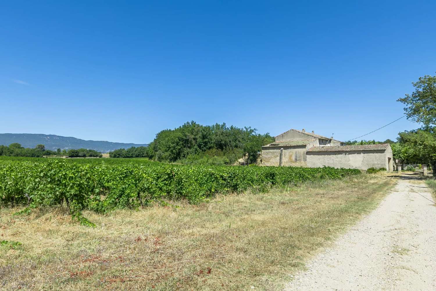  en venta villa Ansouis Vaucluse 6