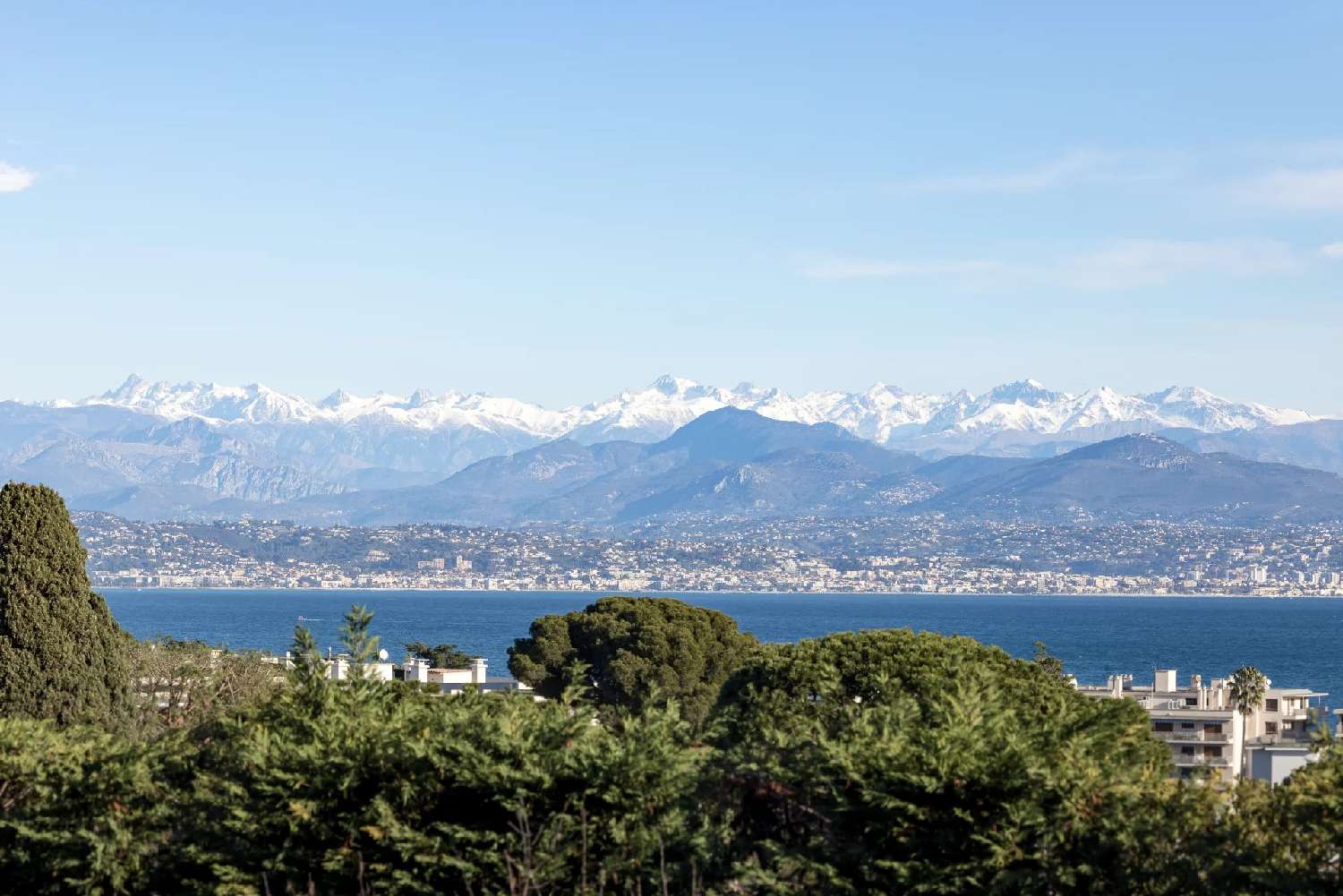 en venta villa Antibes 06160 Alpes-Maritimes 4
