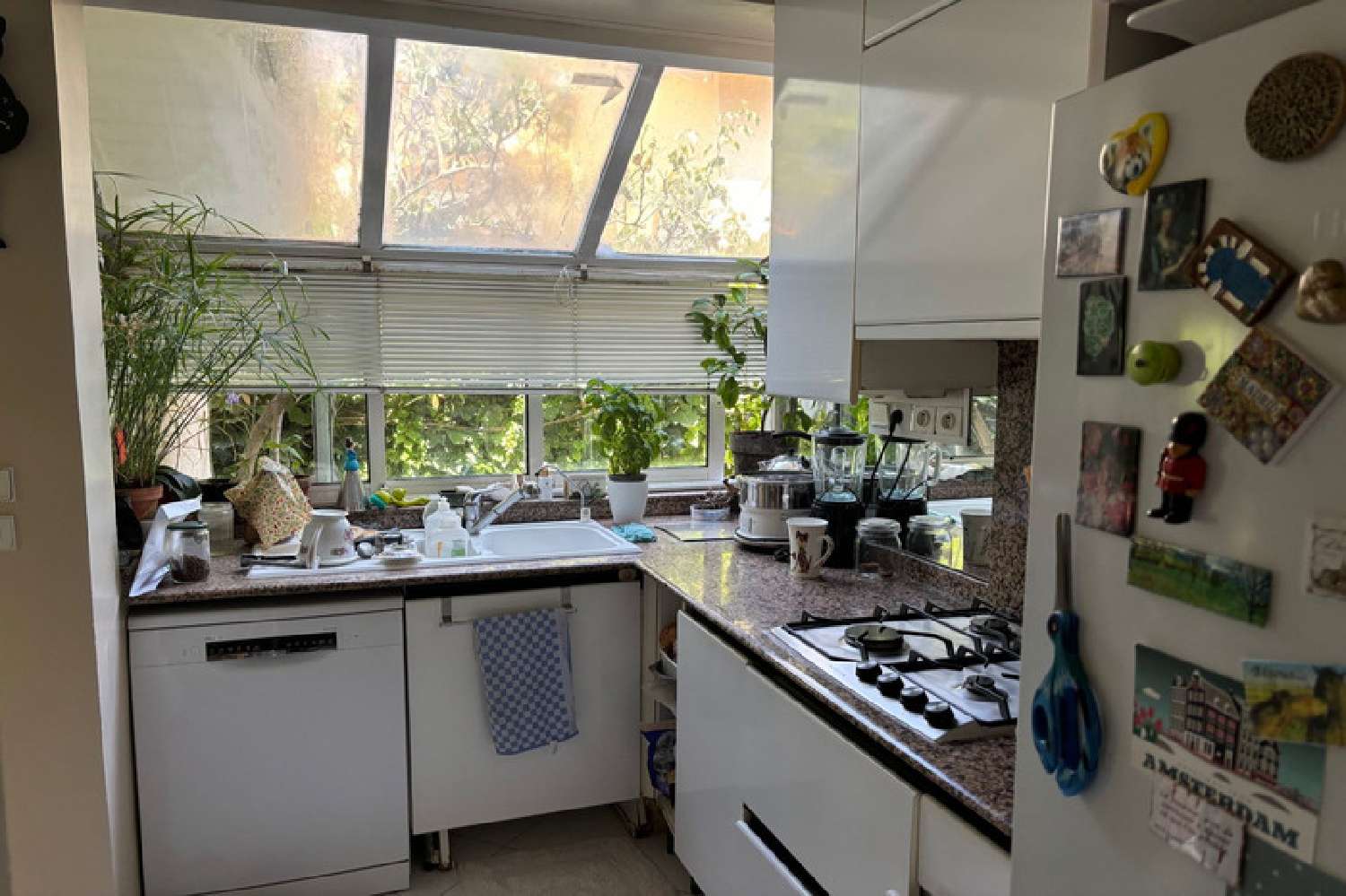 à vendre villa Antibes 06160 Alpes-Maritimes 2