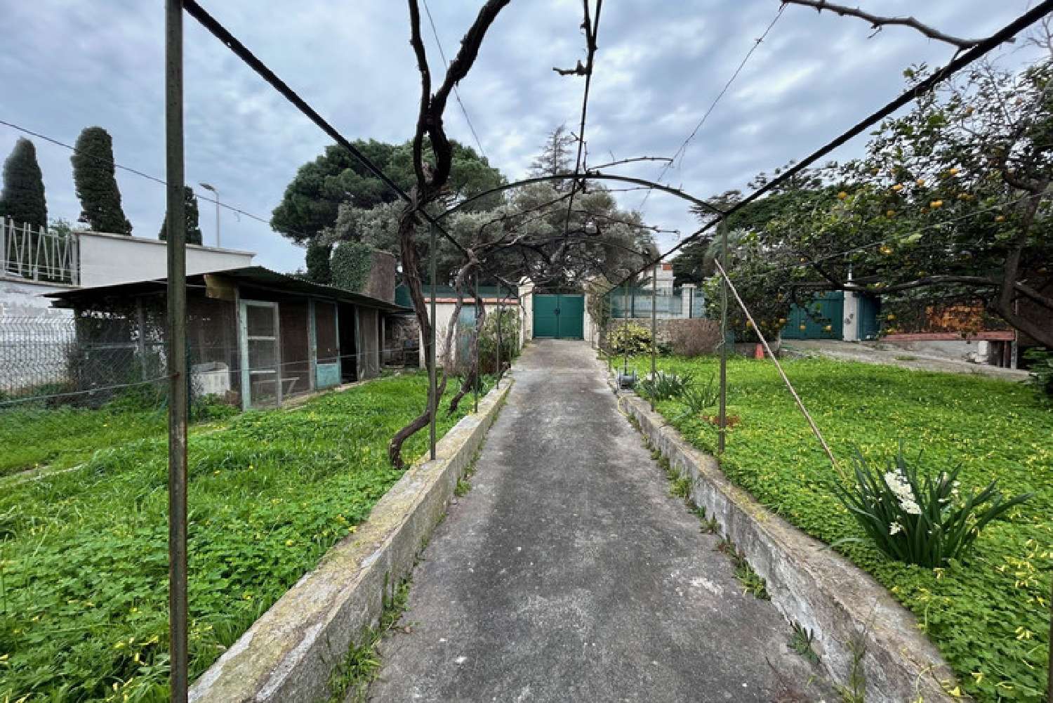  en venta villa Antibes 06160 Alpes-Maritimes 3