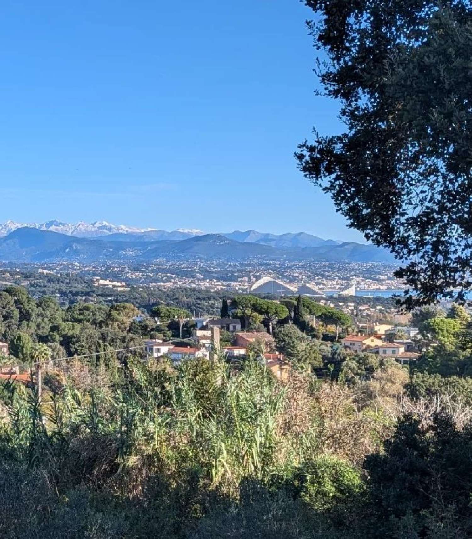  à vendre villa Antibes Alpes-Maritimes 2