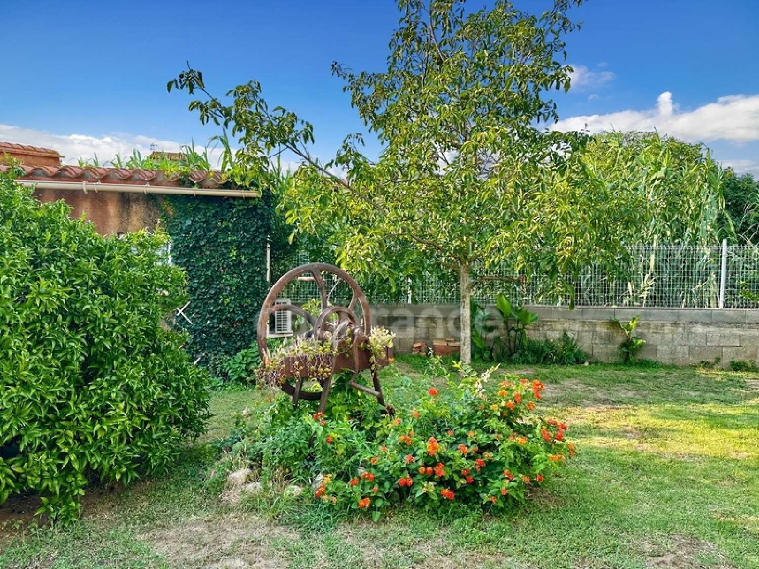  kaufen Villa Argelès-sur-Mer Pyrénées-Orientales 6