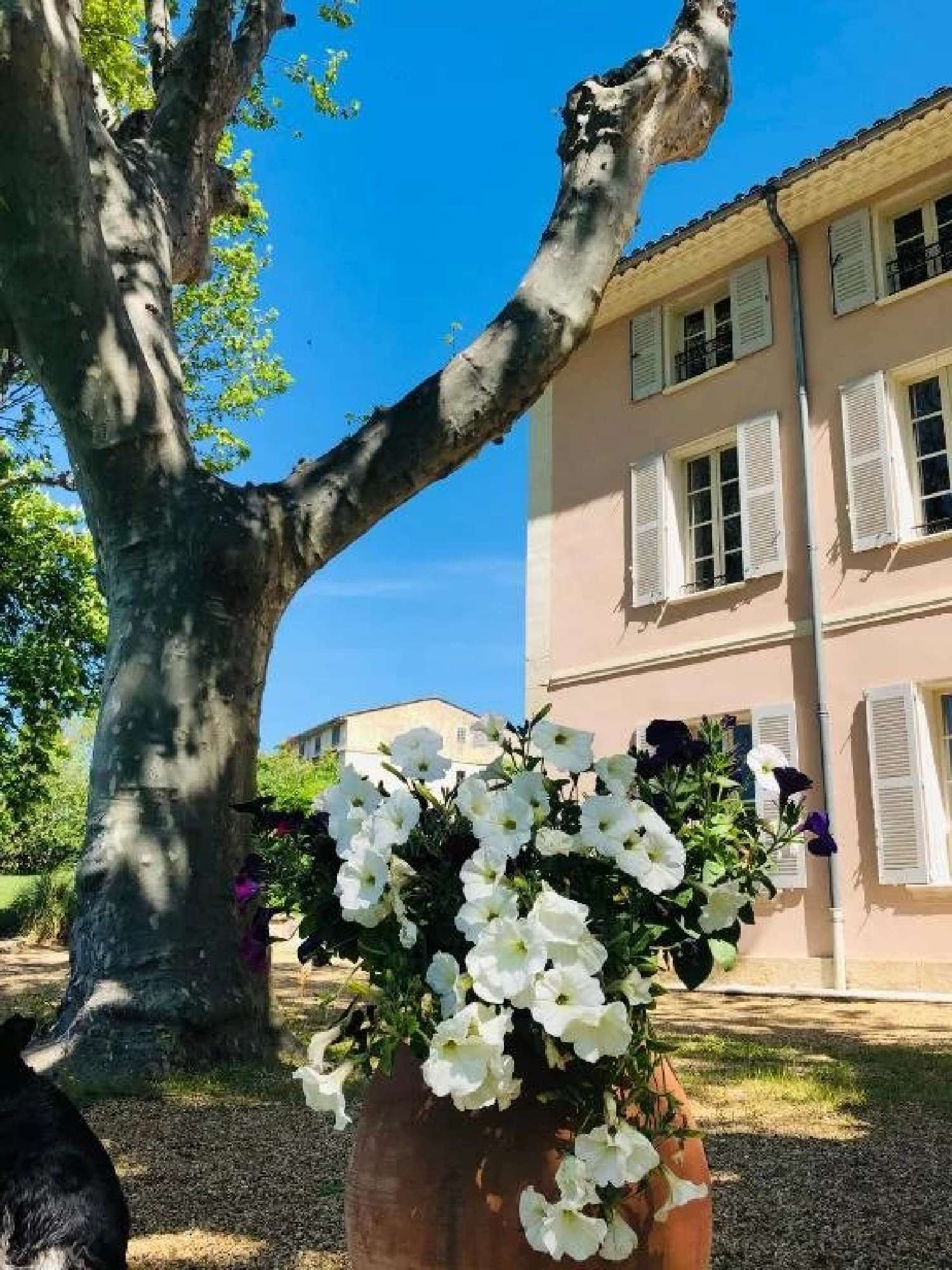  à vendre villa Aups Var 2