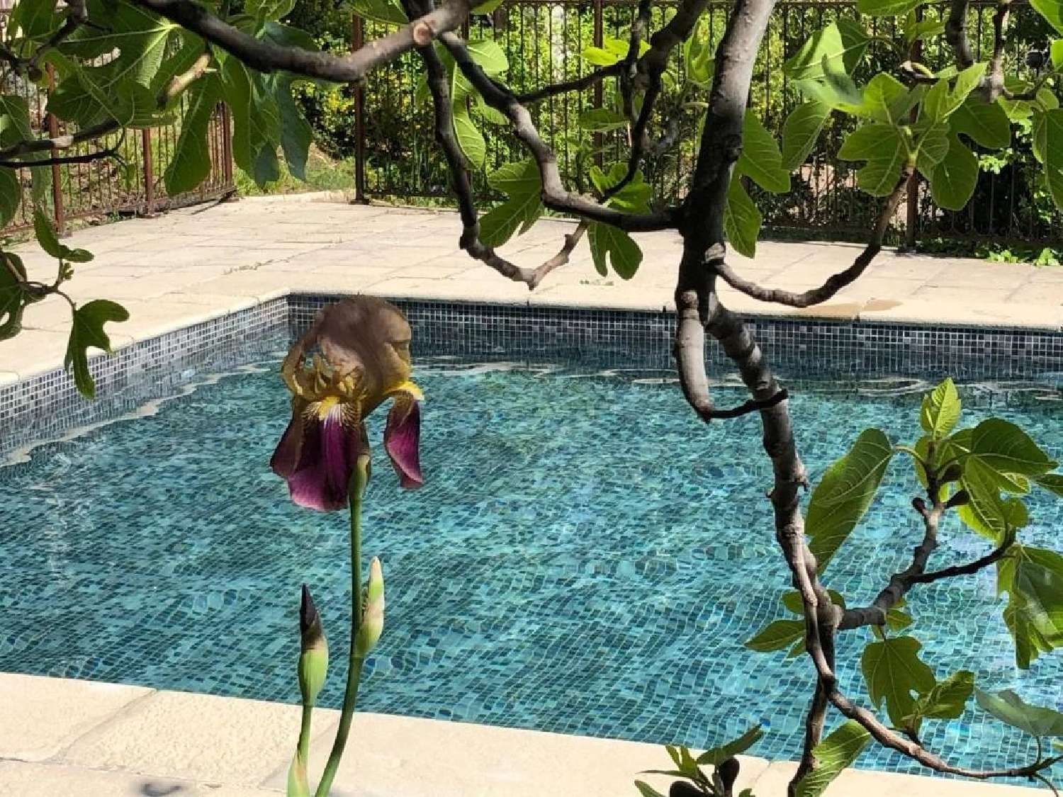  à vendre villa Aups Var 5