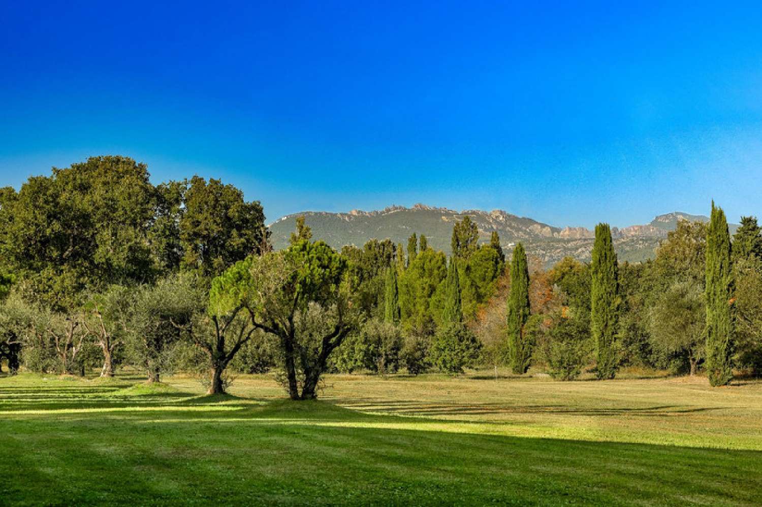 te koop villa Avignon Vaucluse 5