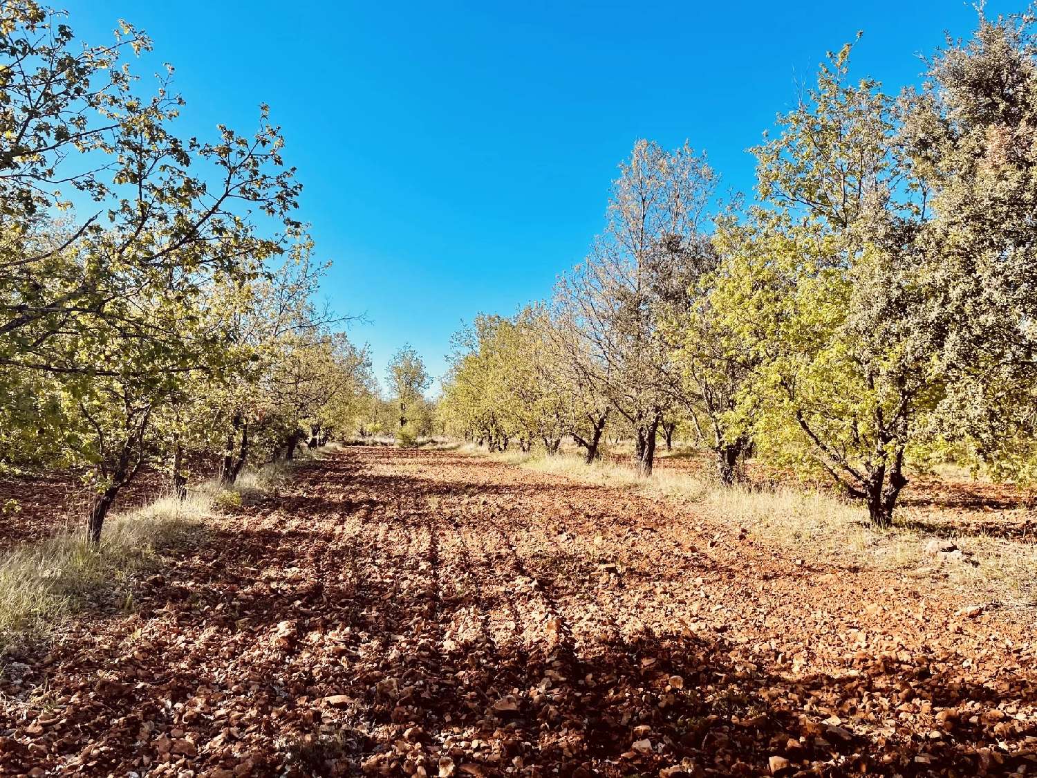 te koop villa Bauduen Var 2