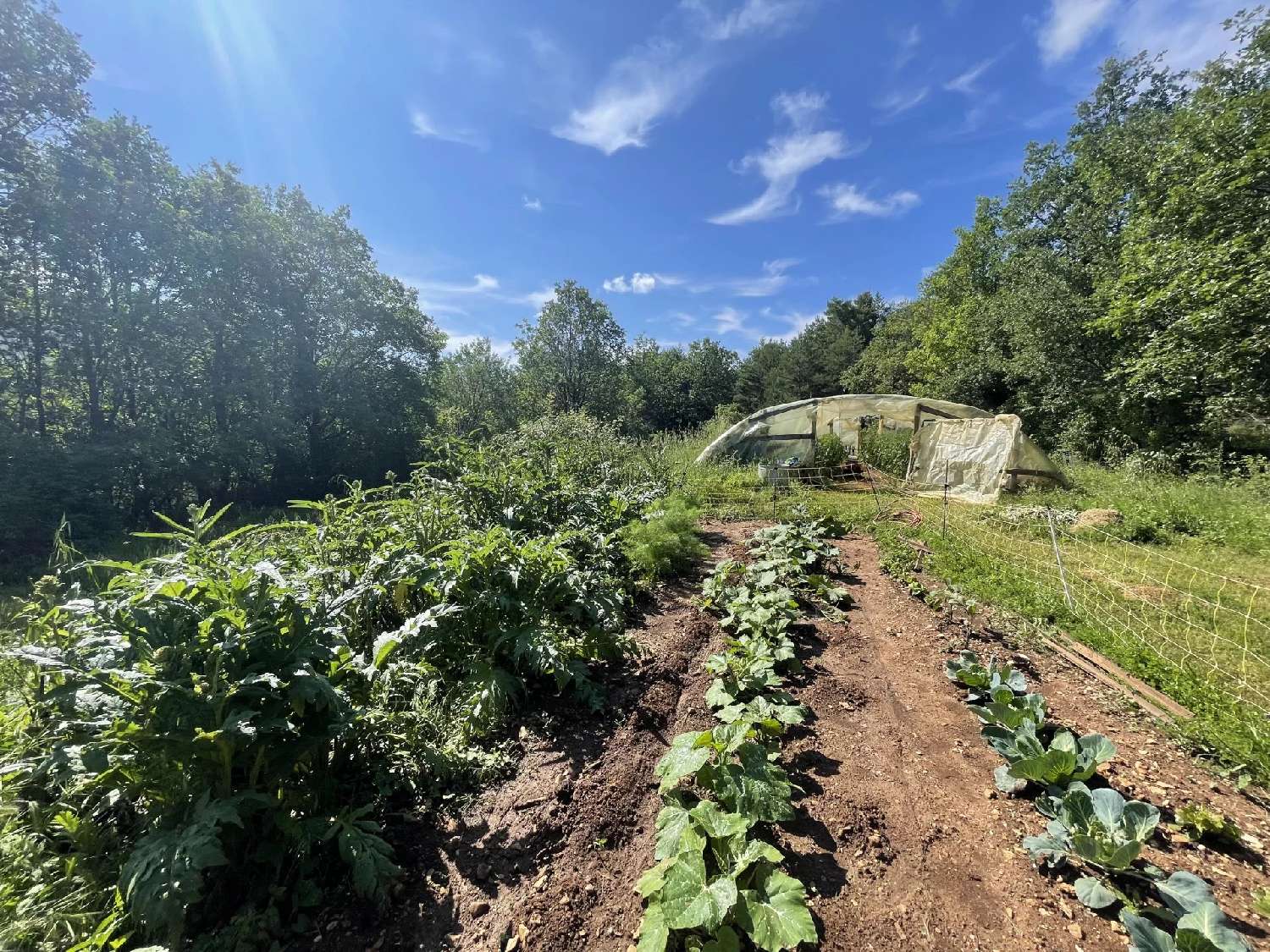 te koop villa Bauduen Var 3