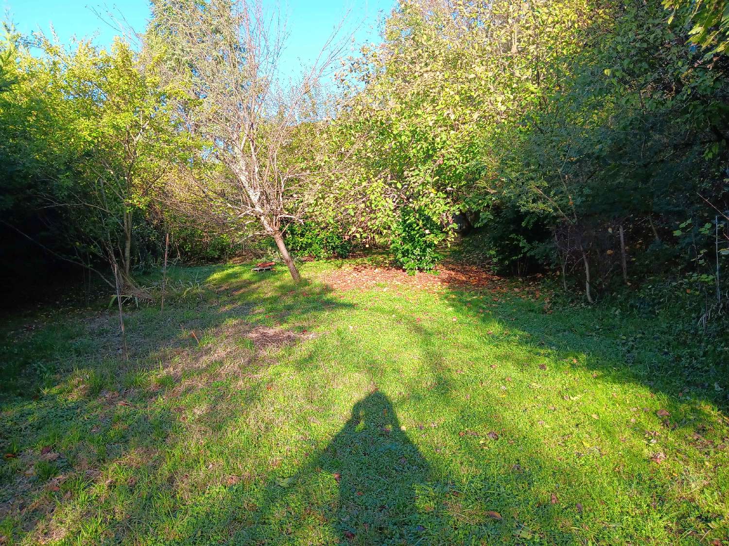  à vendre villa Bon-Encontre Lot-et-Garonne 3