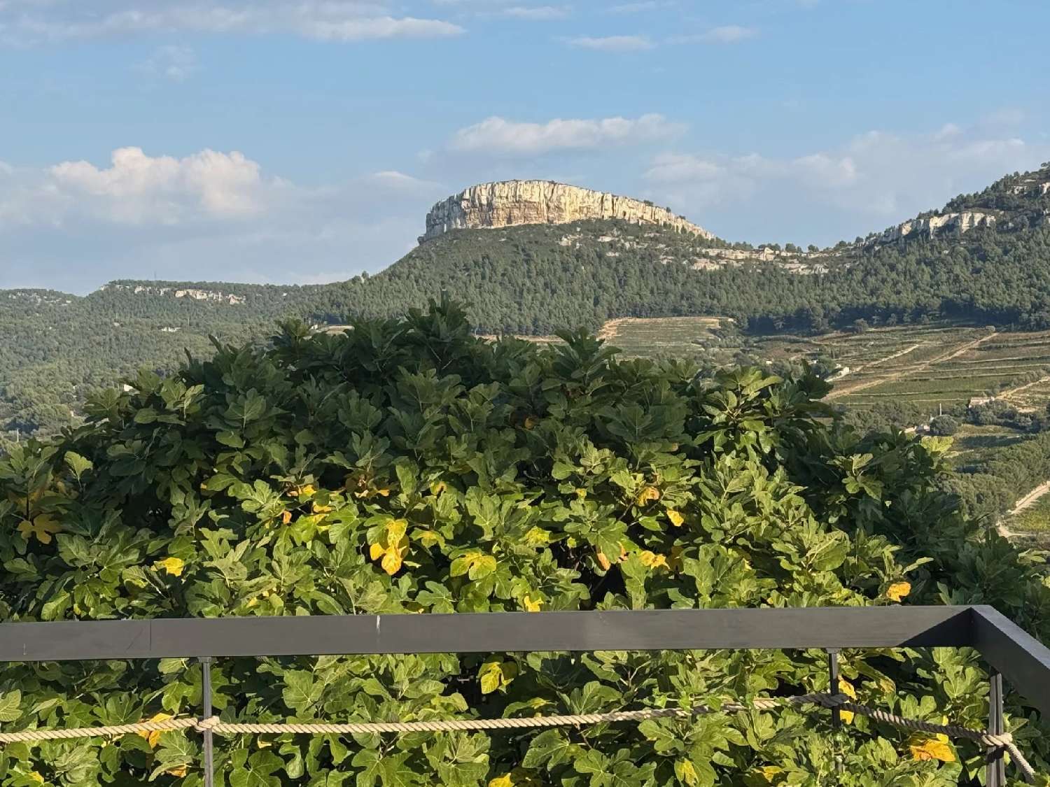  à vendre villa Bonnoeil Calvados 3