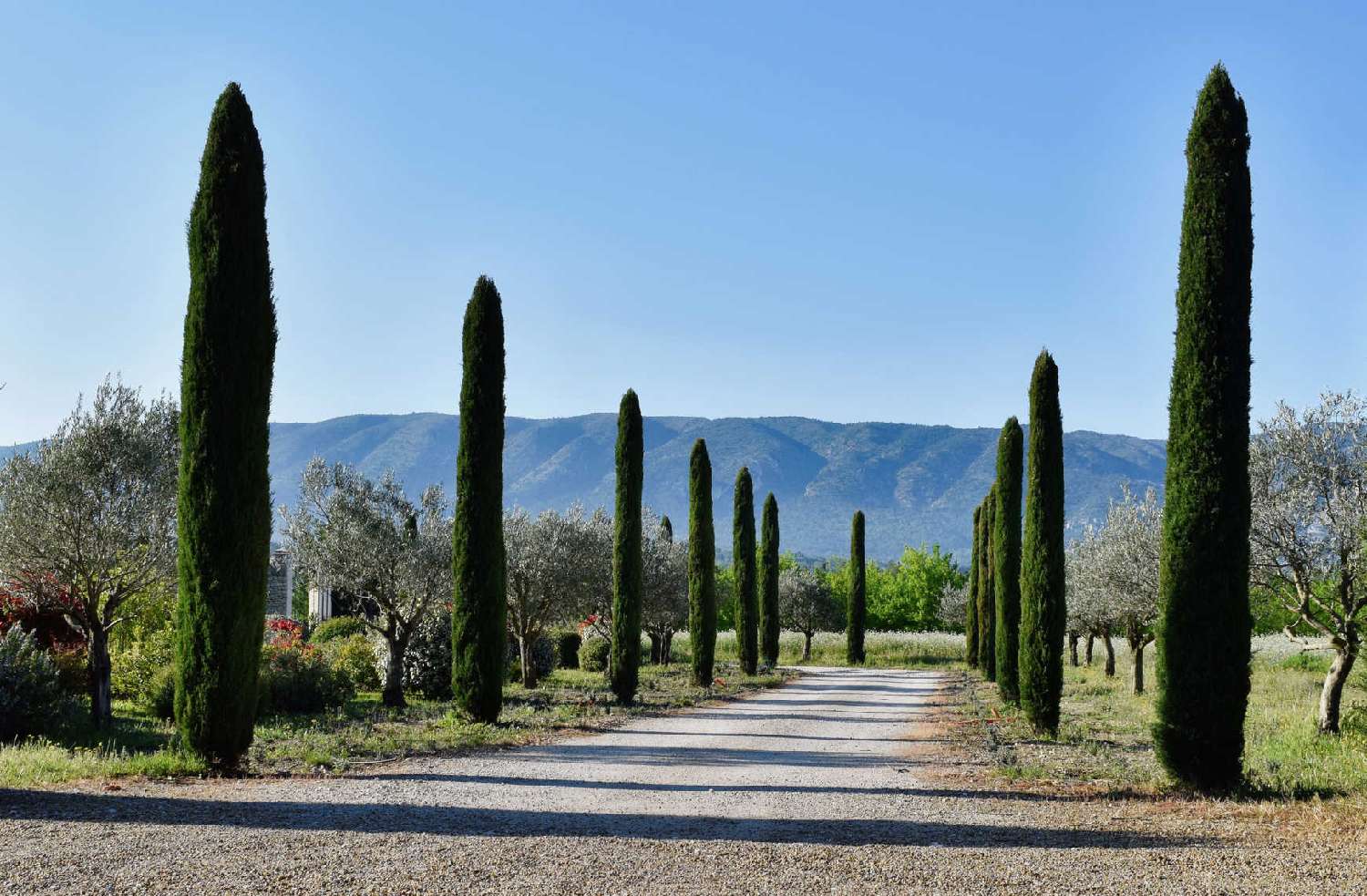  te koop villa Cabrières-d'Avignon Vaucluse 3
