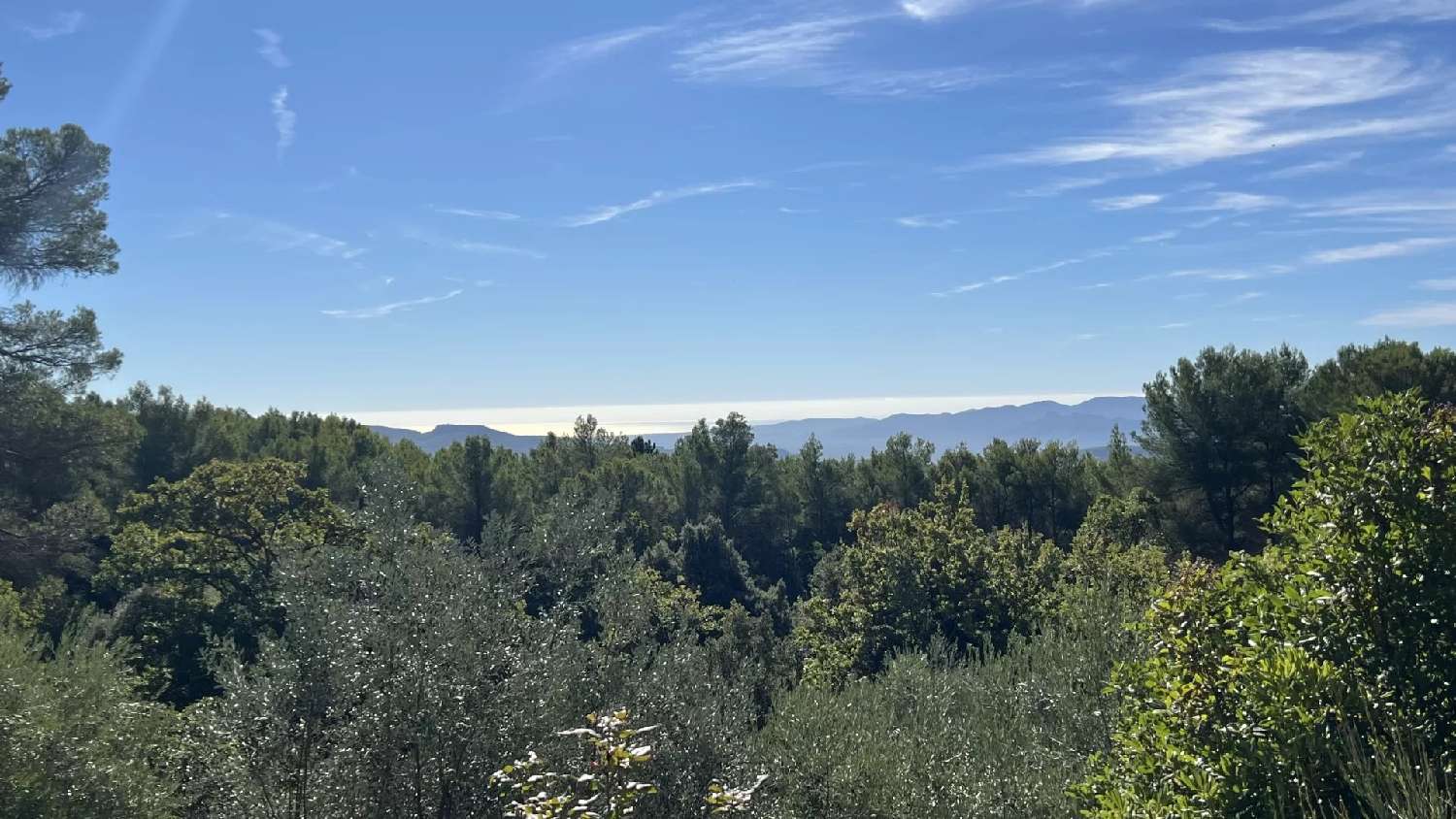  à vendre villa Callas Var 2