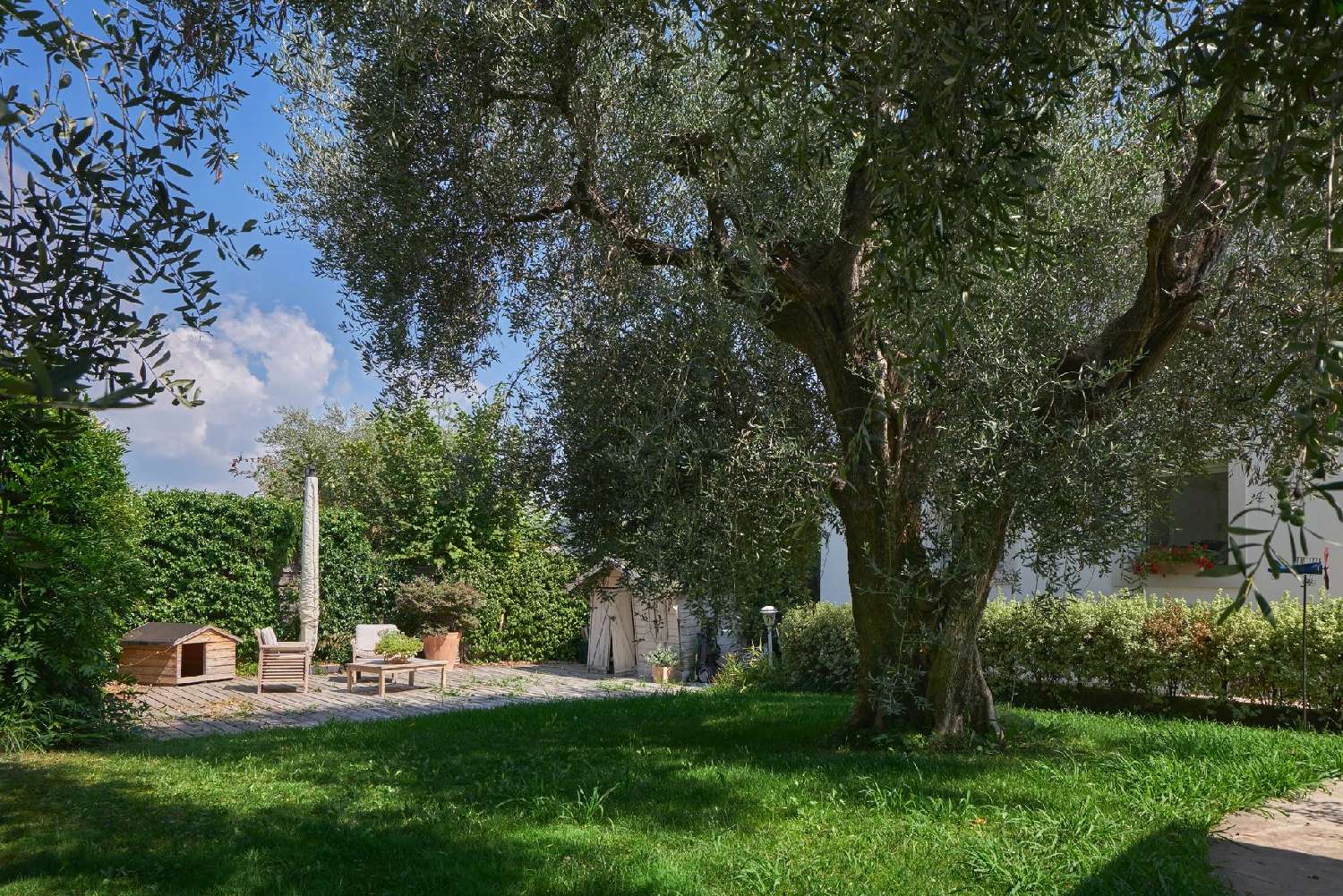  te koop villa Cannes Alpes-Maritimes 7