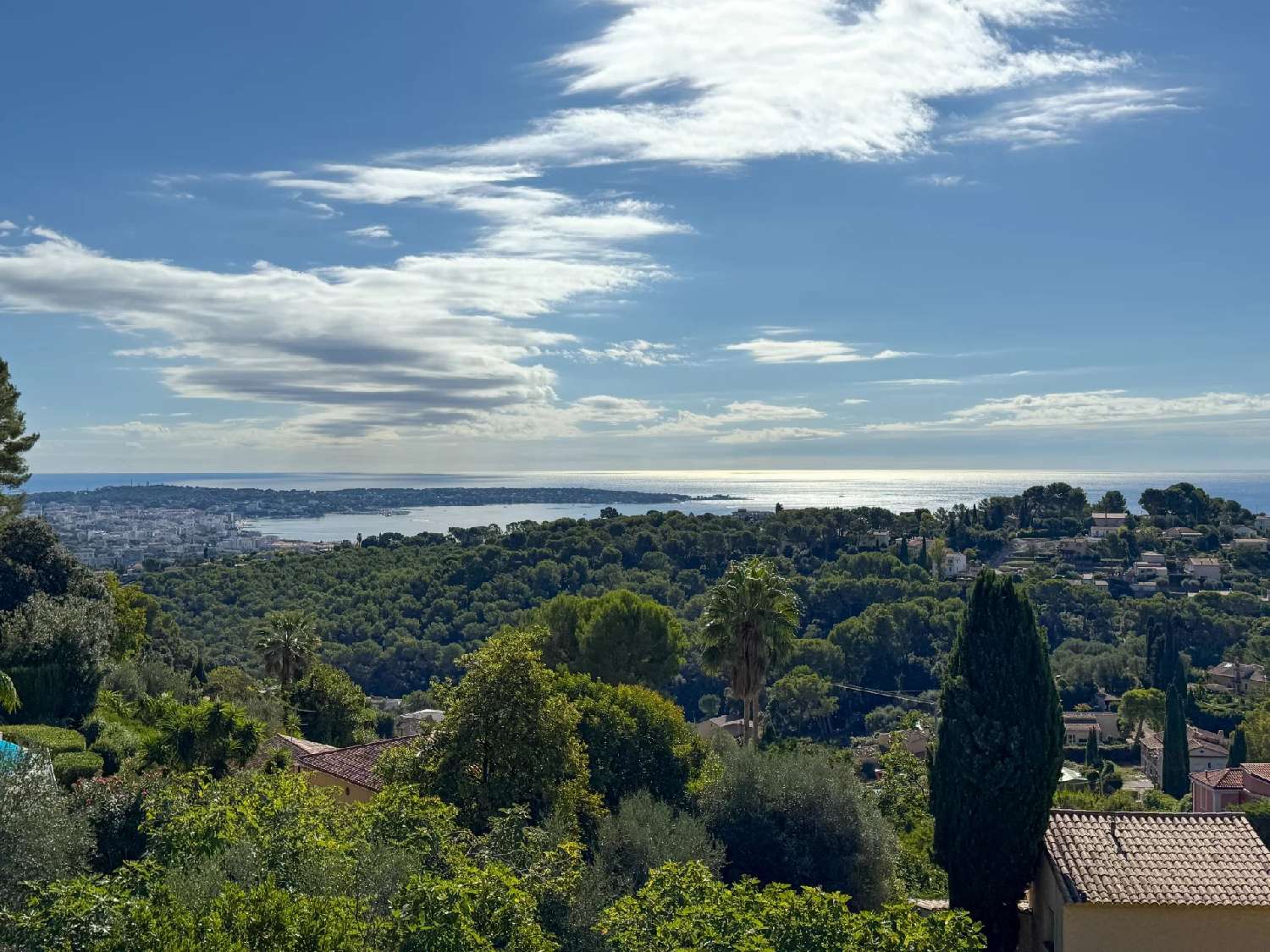 te koop villa Cannes Alpes-Maritimes 4