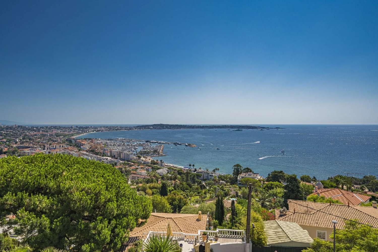  à vendre villa Cannes Alpes-Maritimes 2