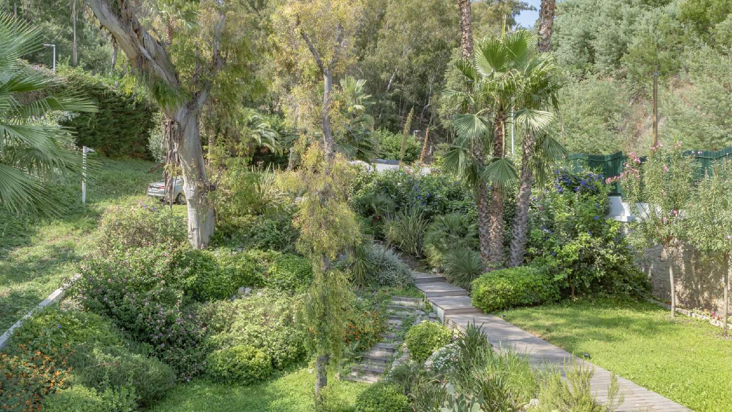  à vendre villa Cannes Alpes-Maritimes 4